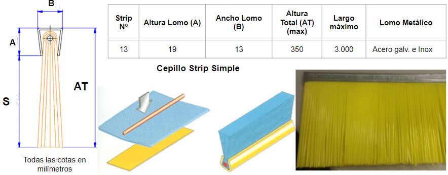 info cepillo strip 13x19