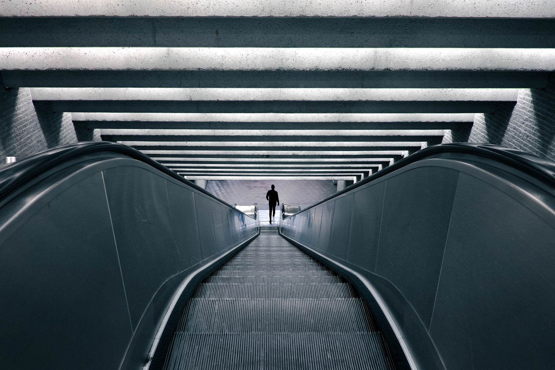 cepillos para escalares mecánicas