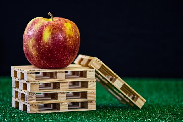 Cepillos Para Fruta Y Verdura Tipos Y Usos