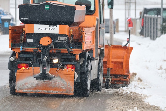 Cepillos Para La Nieve