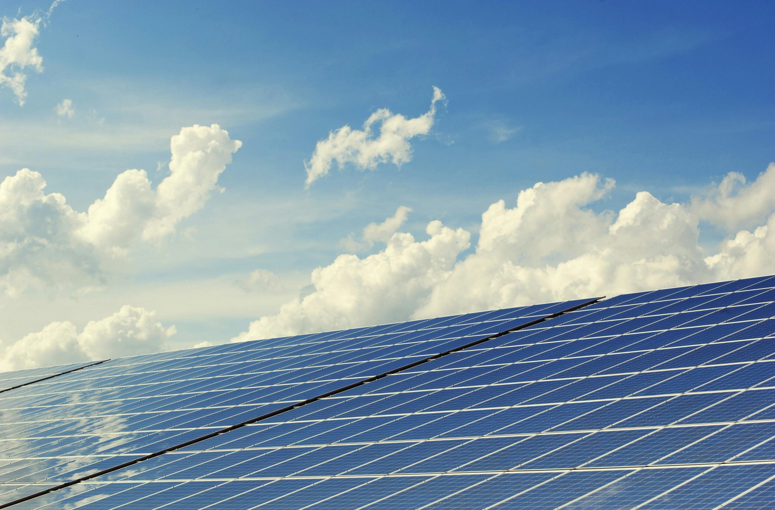 lavar y cepillar las placas solares