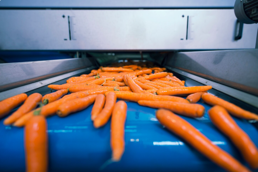 Cepillos industriales autoclavables