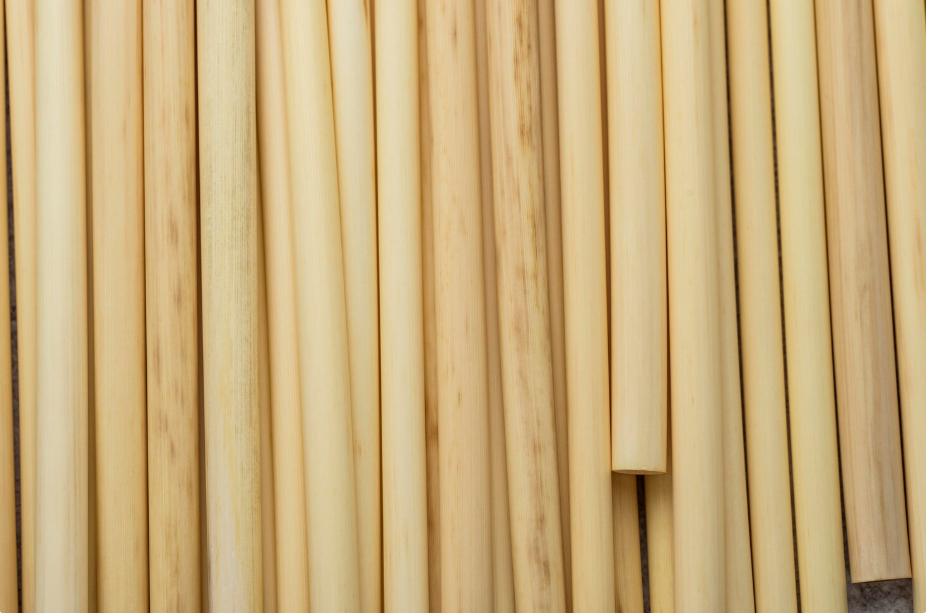 Cepillos industriales para madera, plástico, vidrio y sectores no metálicos